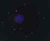 OwlNeb.jpg (2732 bytes)